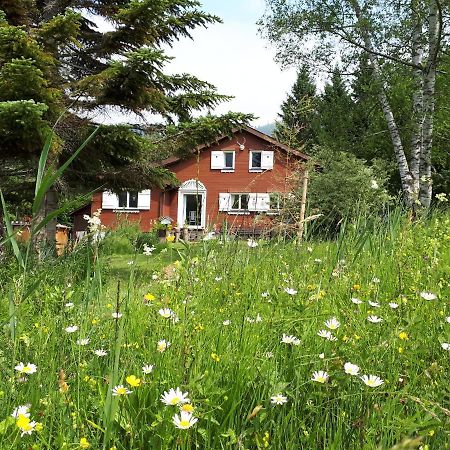 Chalet Chic Wildhaus Exteriér fotografie