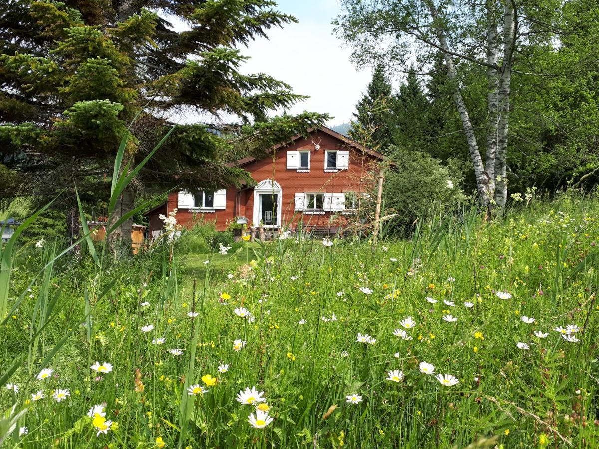 Chalet Chic Wildhaus Exteriér fotografie